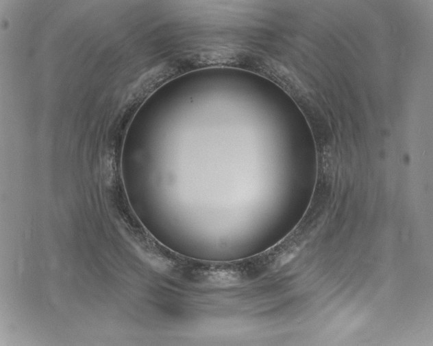 X0000073860741200608101250