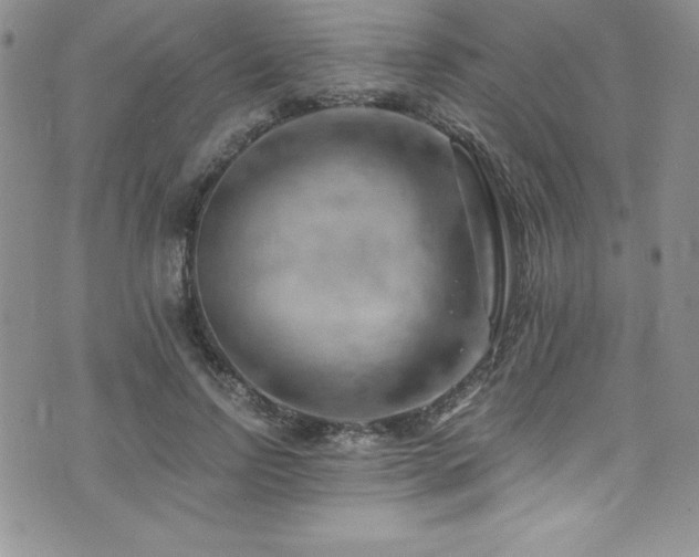 X0000073860742200608101250