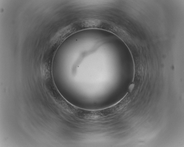 X0000073860743200608101250