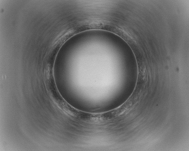 X0000073860744200608101250