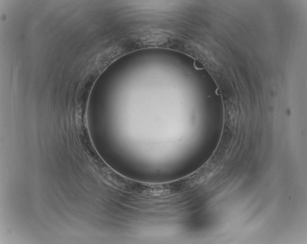 X0000073860745200608101250