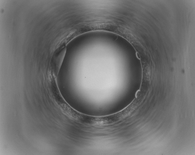 X0000073860746200608101250