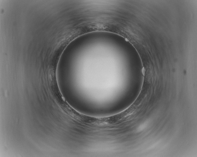 X0000073860747200608101250