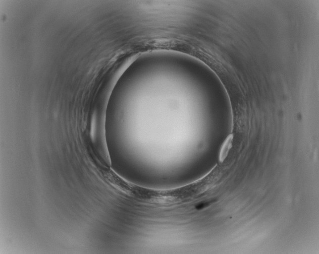 X0000073860748200608101250