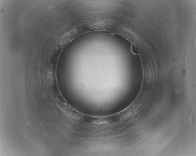 X0000073860749200608101250