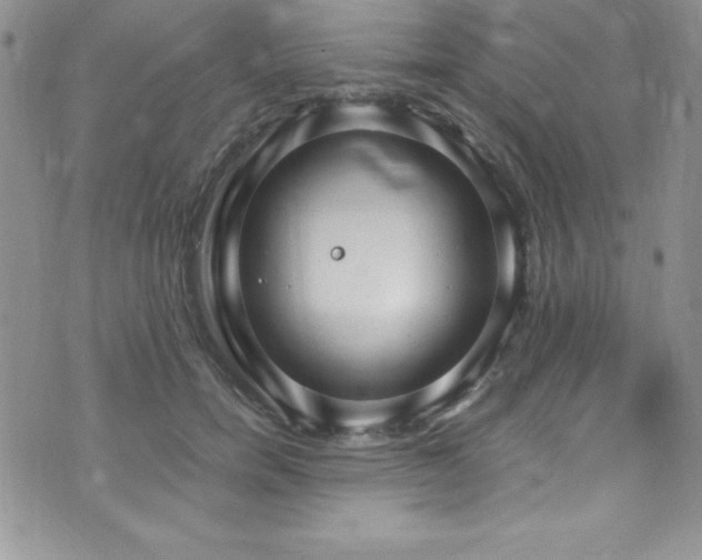 X0000073860750200608101250