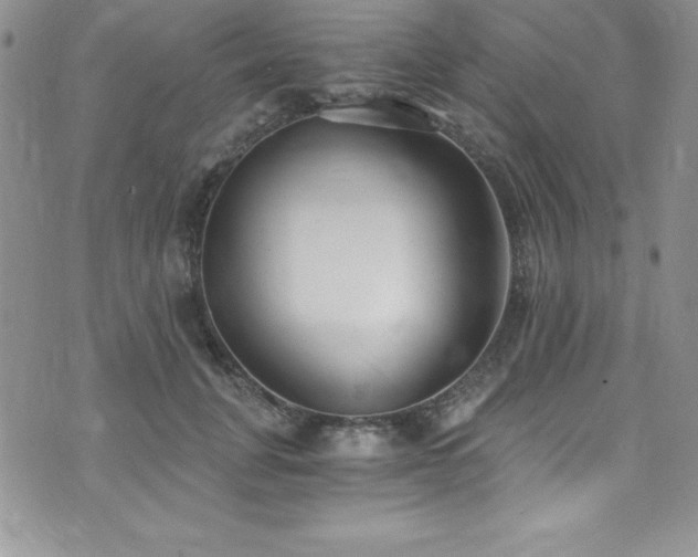 X0000073860751200608101250