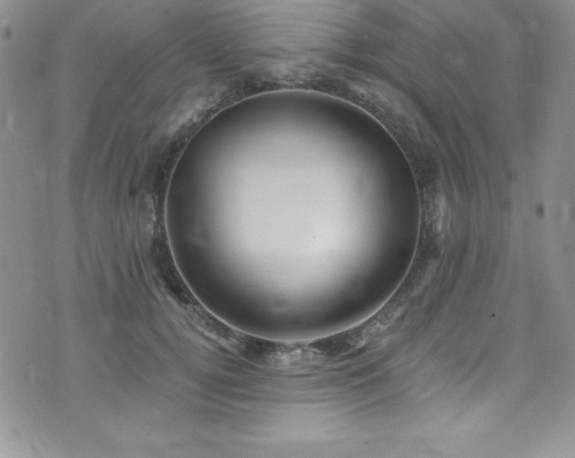 X0000073860752200608101250