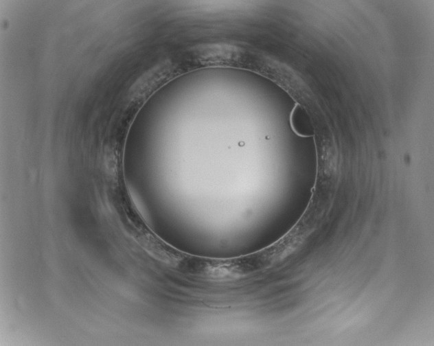 X0000073860753200608101250