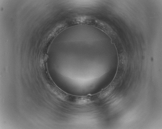 X0000073860754200608101250