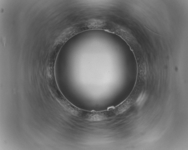 X0000073860755200608101250