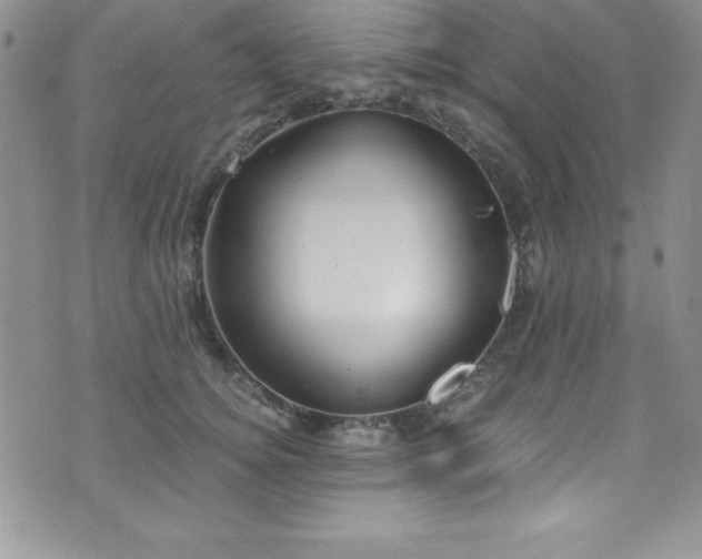 X0000073860756200608101250