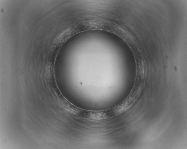 X0000073860757200608101250