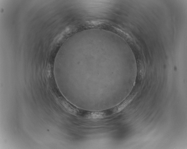 X0000073860758200608101250