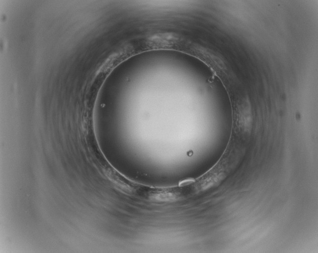 X0000073860759200608101250