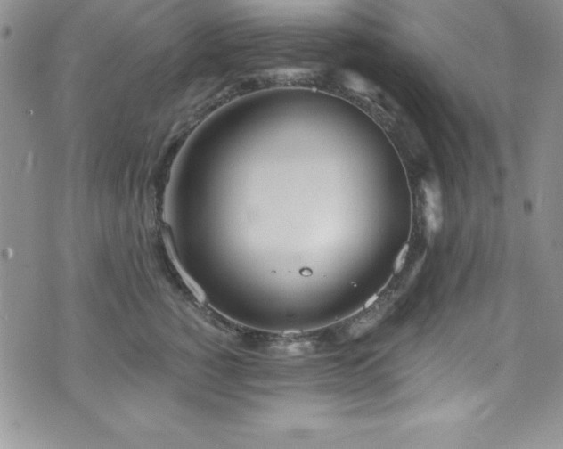 X0000073860760200608101250