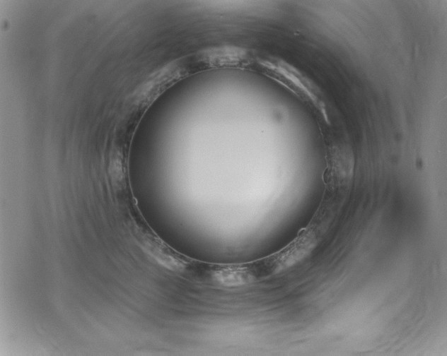 X0000073860761200608101250