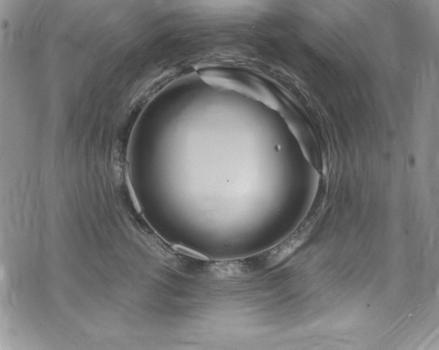 X0000073860762200608101250