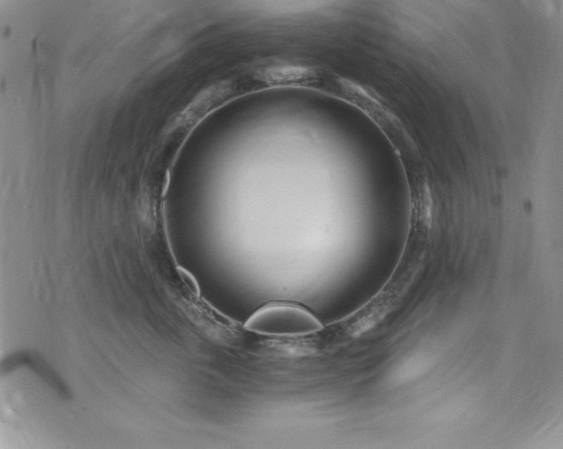 X0000073860763200608101250