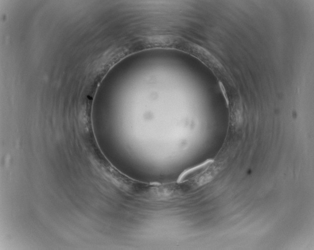 X0000073860764200608101250