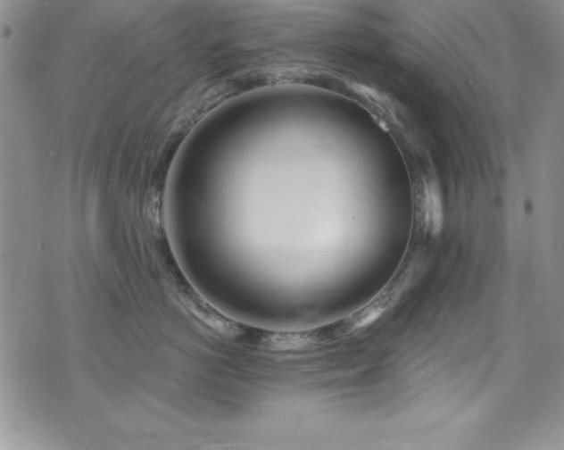 X0000073860766200608101250