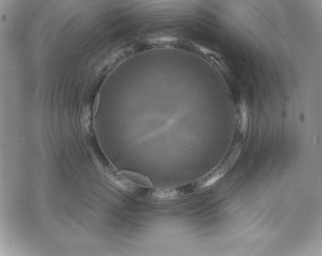 X0000073860767200608101250