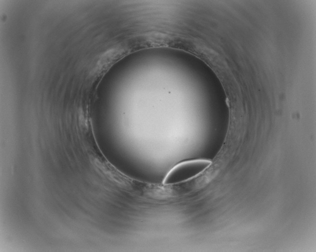 X0000073860768200608101250