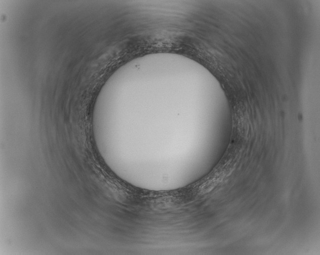 X0000073860769200608101249