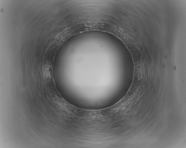 X0000073860770200608101249