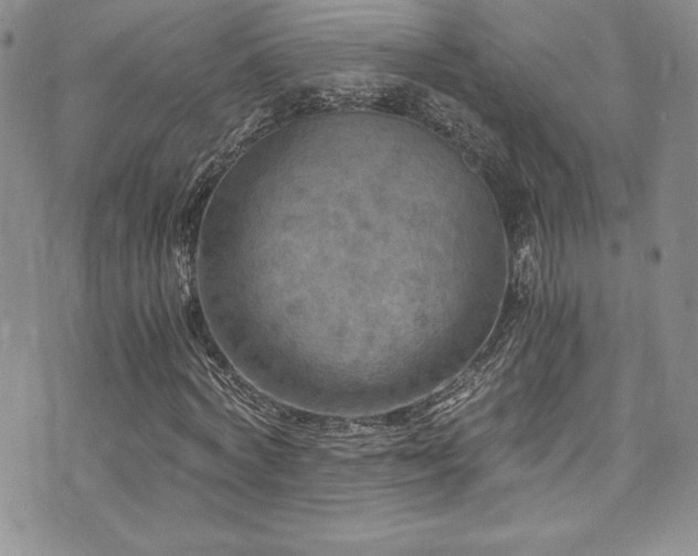 X0000073860772200608101249