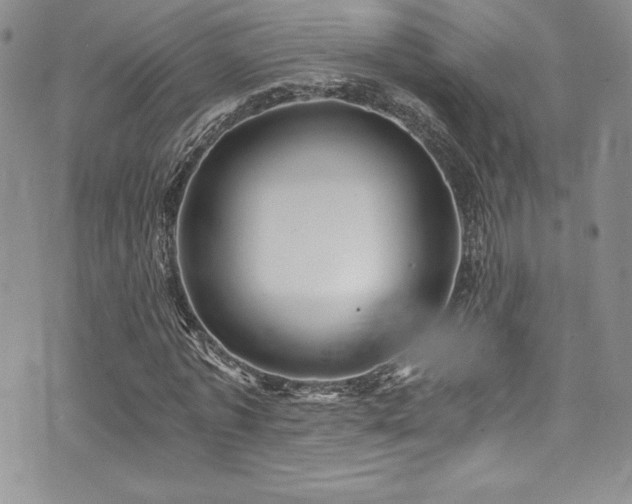 X0000073860773200608101249