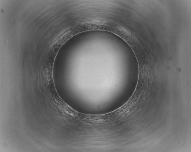 X0000073860774200608101249