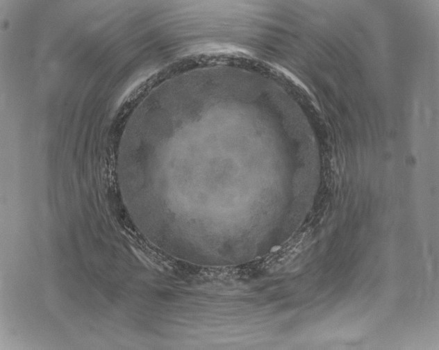 X0000073860775200608101249