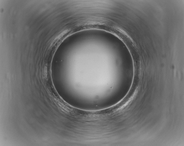 X0000073860777200608101249