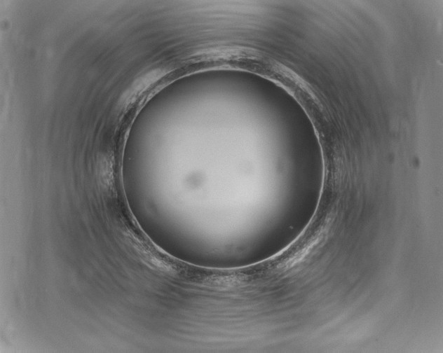 X0000073860778200608101249