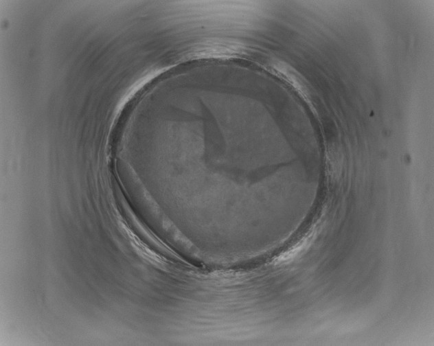 X0000073860779200608101249