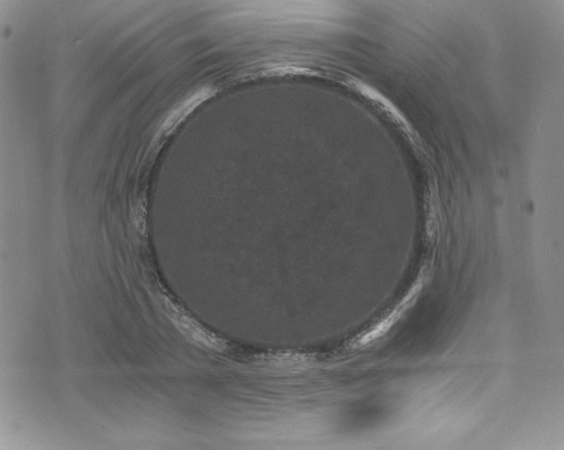 X0000073860785200608101249