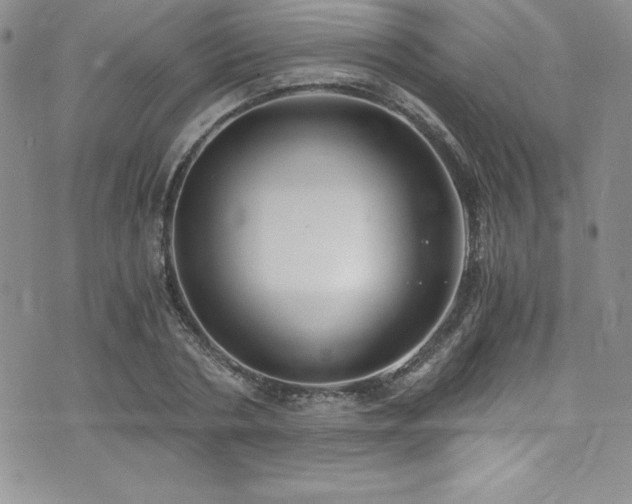 X0000073860786200608101249