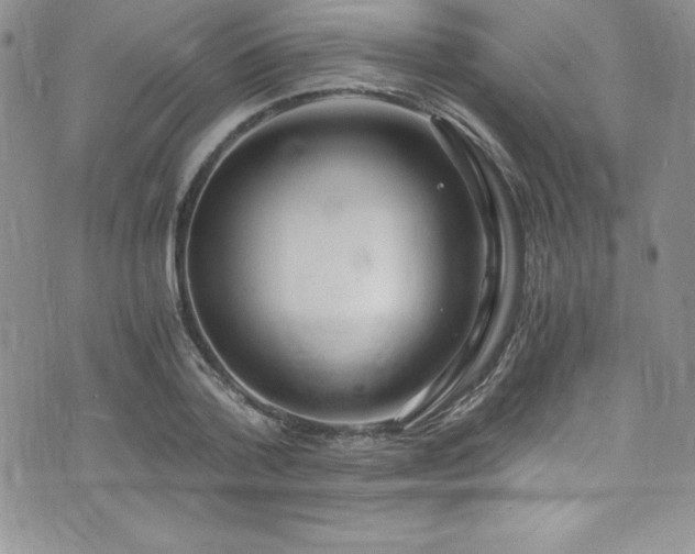 X0000073860788200608101249