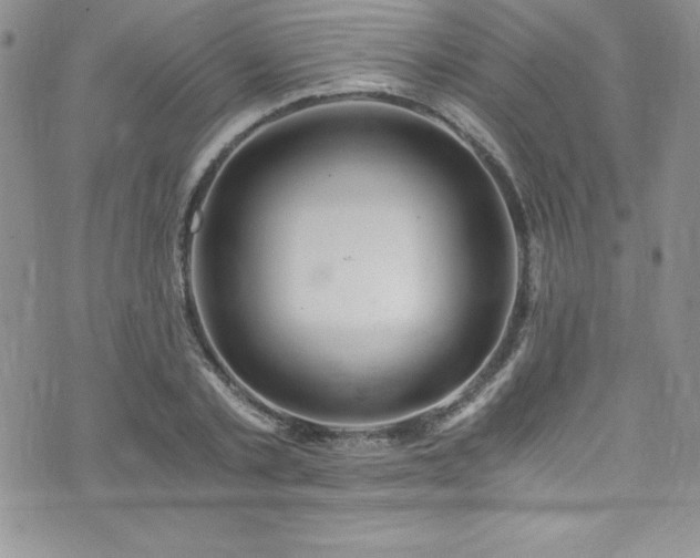 X0000073860789200608101249