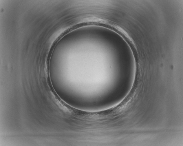 X0000073860791200608101249