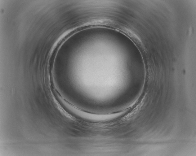 X0000073860792200608101249