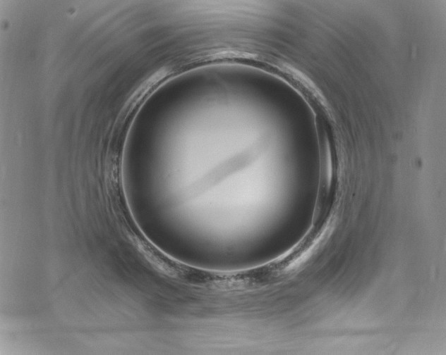 X0000073860793200608101249