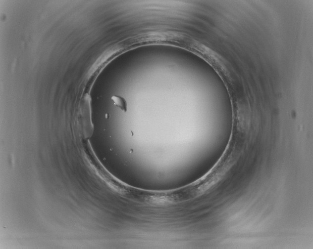 X0000073860794200608101249