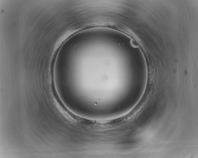 X0000073860795200608101249