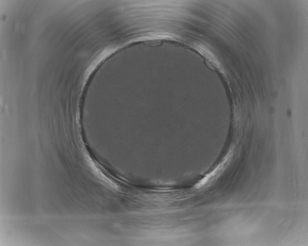 X0000073860797200608101249