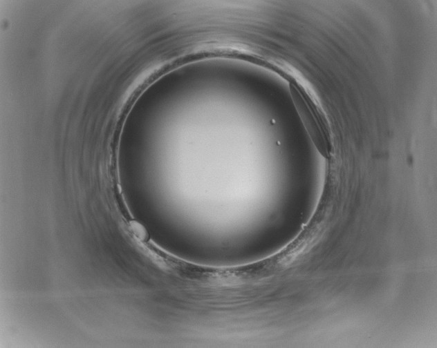 X0000073860799200608101249