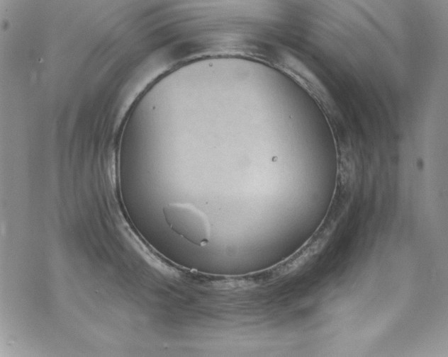 X0000073860804200608101249