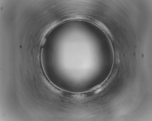 X0000073860805200608101249