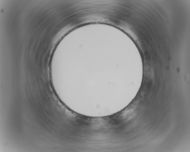 X0000073860807200608101249